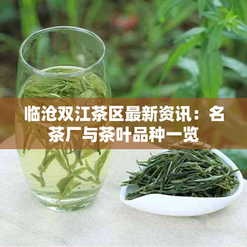 临沧双江茶区最新资讯：名茶厂与茶叶品种一览