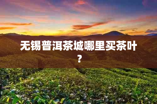 无锡普洱茶城哪里买茶叶？