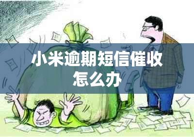 小米逾期短信怎么办