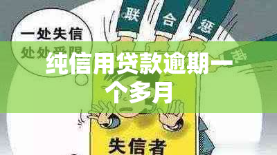 纯信用贷款逾期一个多月