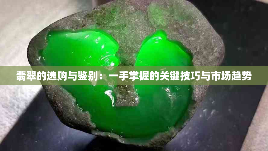 翡翠的选购与鉴别：一手掌握的关键技巧与市场趋势