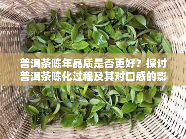 普洱茶陈年品质是否更好？探讨普洱茶陈化过程及其对口感的影响