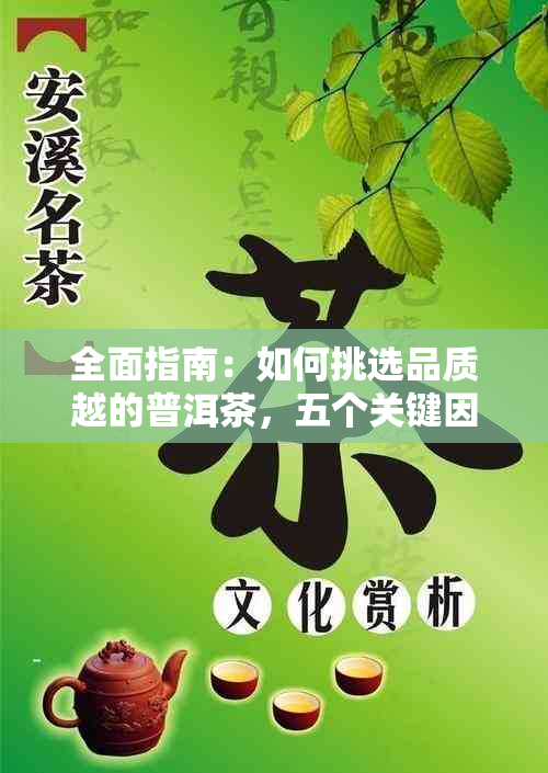 全面指南：如何挑选品质越的普洱茶，五个关键因素解析