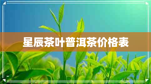 星辰茶叶普洱茶价格表