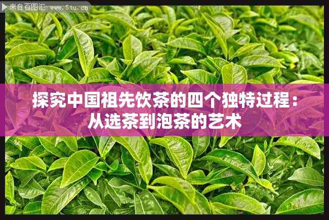 探究中国祖先饮茶的四个独特过程：从选茶到泡茶的艺术