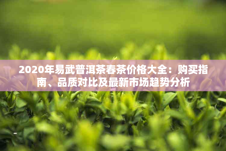 2020年易武普洱茶春茶价格大全：购买指南、品质对比及最新市场趋势分析