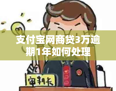 支付宝网商贷3万逾期1年如何处理