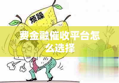 费金融平台怎么选择