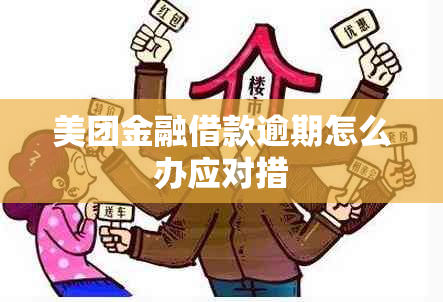 美团金融借款逾期怎么办应对措