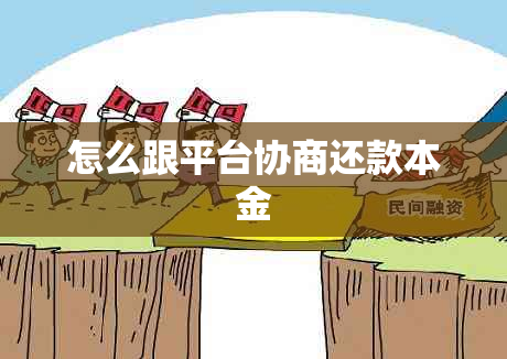 怎么跟平台协商还款本金