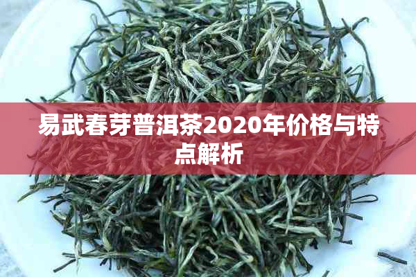 易武春芽普洱茶2020年价格与特点解析