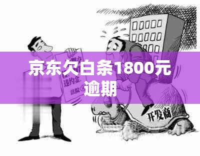 京东欠白条1800元逾期