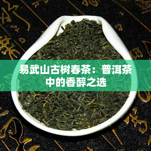 易武山古树春茶：普洱茶中的香醇之选