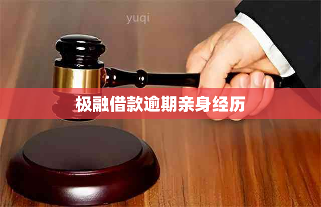 极融借款逾期亲身经历