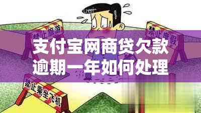 支付宝网商贷欠款逾期一年如何处理