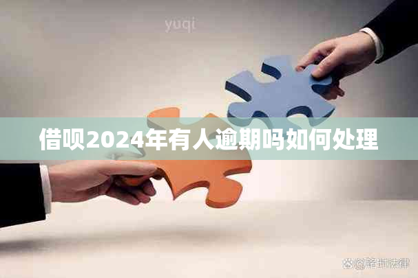 借呗2024年有人逾期吗如何处理