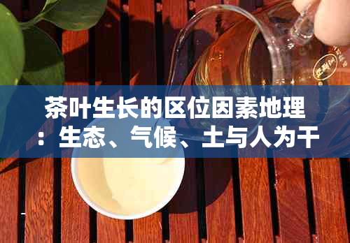 茶叶生长的区位因素地理：生态、气候、土与人为干预的影响