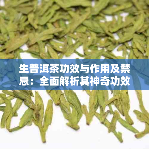 生普洱茶功效与作用及禁忌：全面解析其神奇功效与饮用禁忌