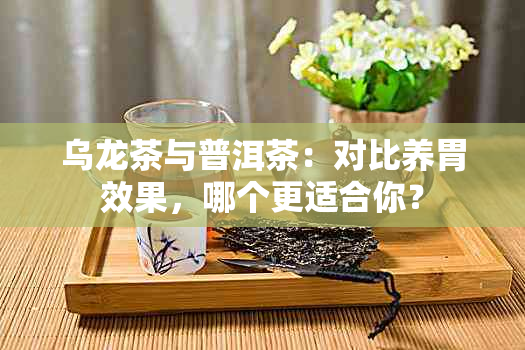 乌龙茶与普洱茶：对比养胃效果，哪个更适合你？