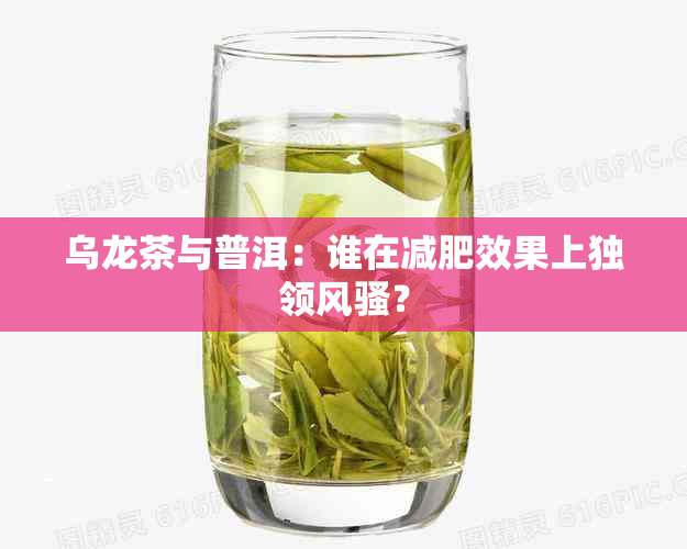 乌龙茶与普洱：谁在减肥效果上独领 *** ？