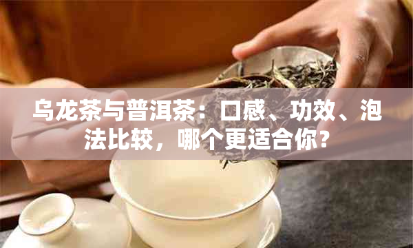 乌龙茶与普洱茶：口感、功效、泡法比较，哪个更适合你？