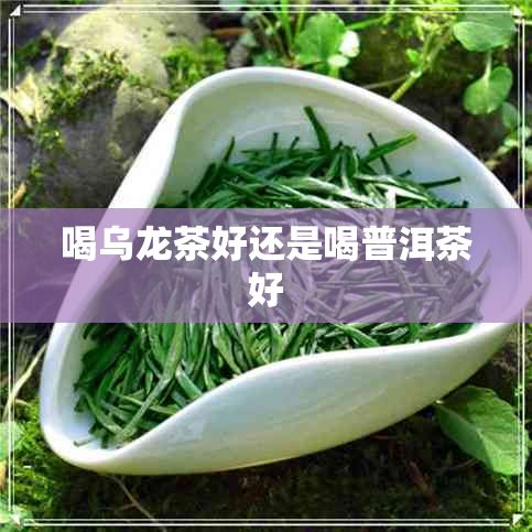 喝乌龙茶好还是喝普洱茶好