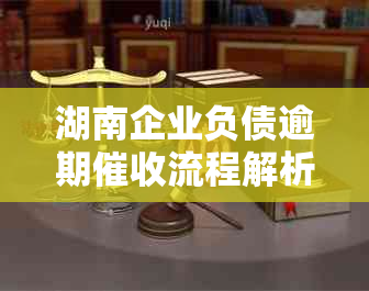 湖南企业负债逾期流程解析