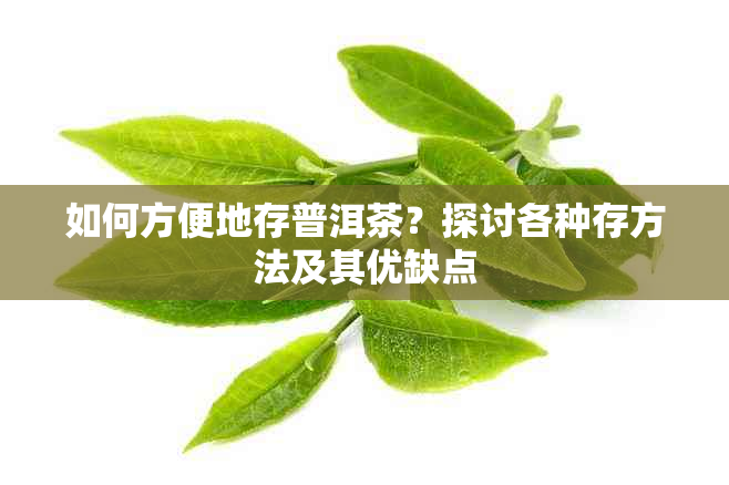 如何方便地存普洱茶？探讨各种存方法及其优缺点