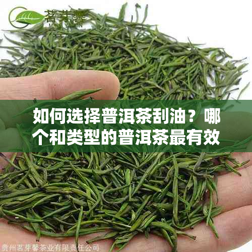 如何选择普洱茶刮油？哪个和类型的普洱茶最有效？