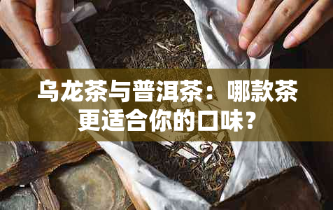 乌龙茶与普洱茶：哪款茶更适合你的口味？