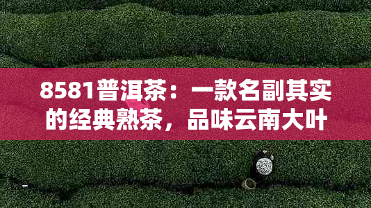 8581普洱茶：一款名副其实的经典熟茶，品味云南大叶种的独特风味