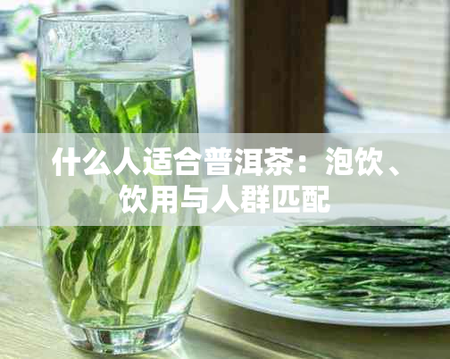 什么人适合普洱茶：泡饮、饮用与人群匹配