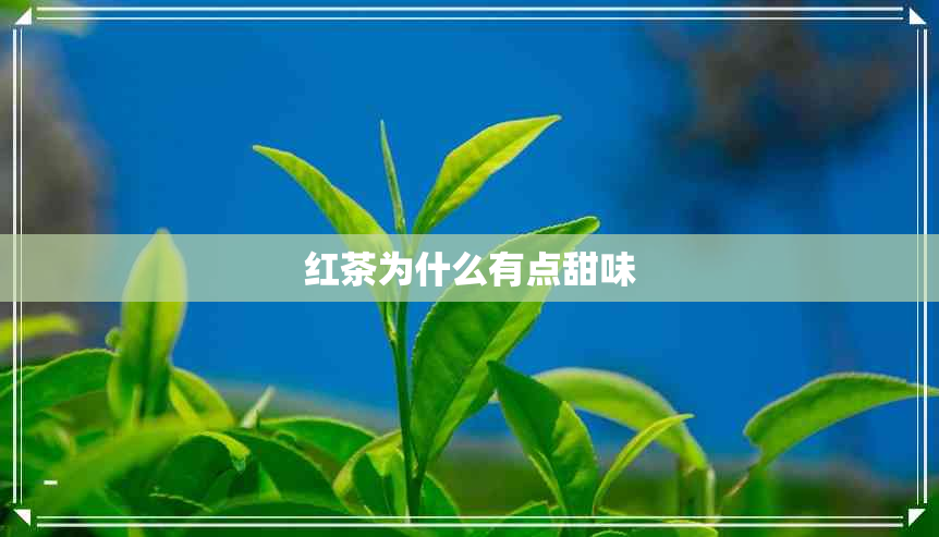 红茶为什么有点甜味