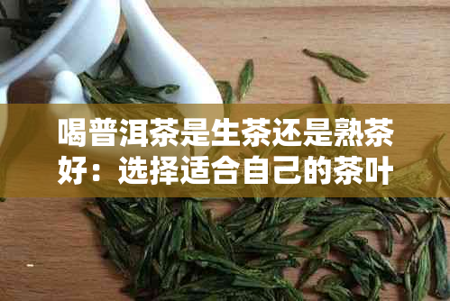 喝普洱茶是生茶还是熟茶好：选择适合自己的茶叶类型