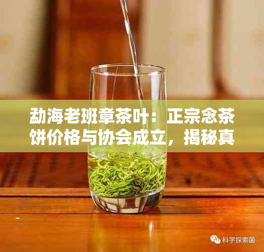 勐海老班章茶叶：正宗念茶饼价格与协会成立，揭秘真实身份。