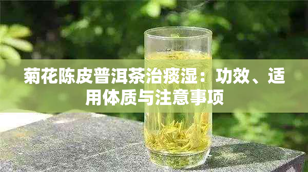 菊花陈皮普洱茶治痰湿：功效、适用体质与注意事项