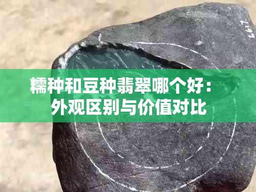 糯种和豆种翡翠哪个好： 外观区别与价值对比