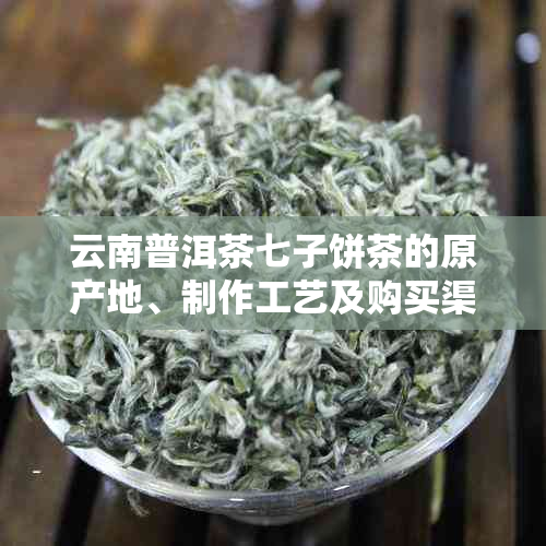 云南普洱茶七子饼茶的原产地、制作工艺及购买渠道全面解析