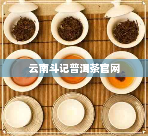 云南斗记普洱茶官网