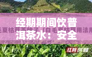 经期期间饮普洱茶水：安全性与适宜性全解析