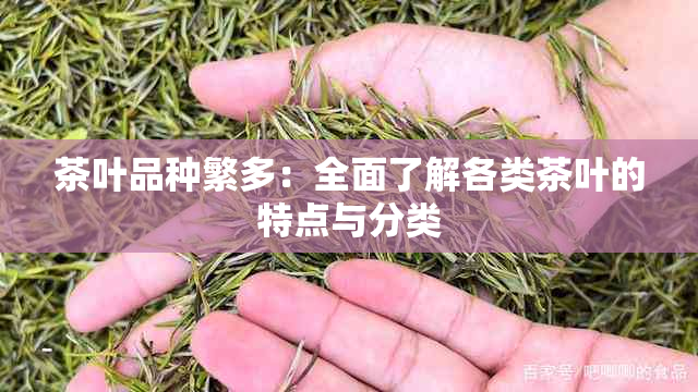 茶叶品种繁多：全面了解各类茶叶的特点与分类