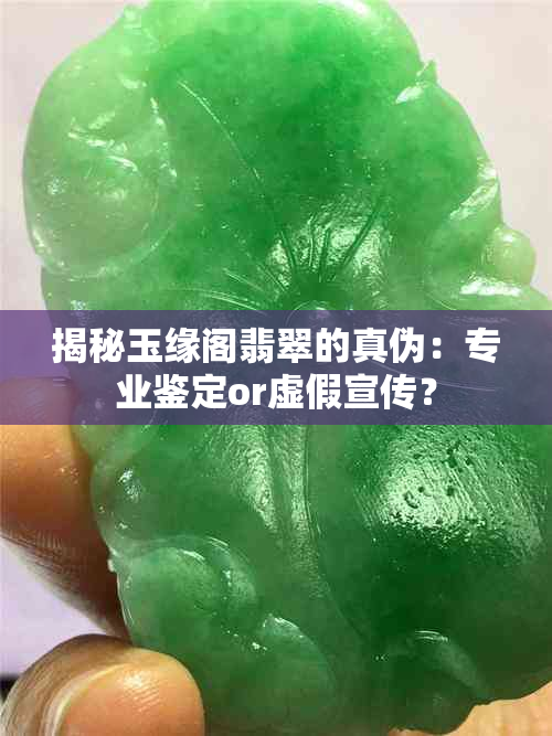 揭秘玉缘阁翡翠的真伪：专业鉴定or虚假宣传？