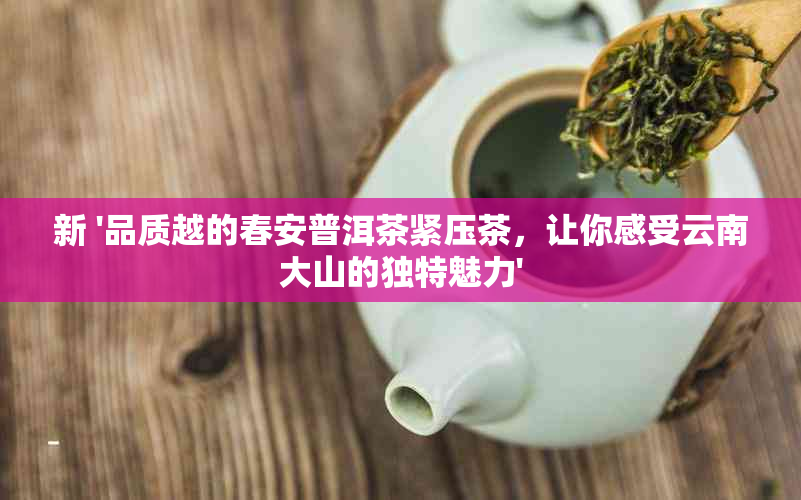 新 '品质越的春安普洱茶紧压茶，让你感受云南大山的独特魅力'