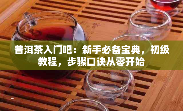 普洱茶入门吧：新手必备宝典，初级教程，步骤口诀从零开始