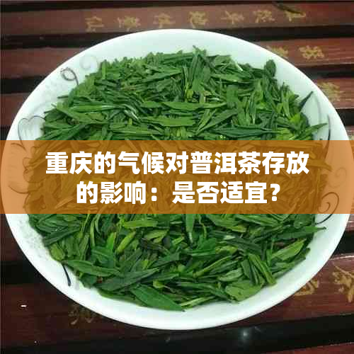 重庆的气候对普洱茶存放的影响：是否适宜？