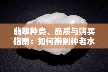 翡翠种类、品质与购买指南：如何辨别种老水头差异，确保购买到优质的翡翠？