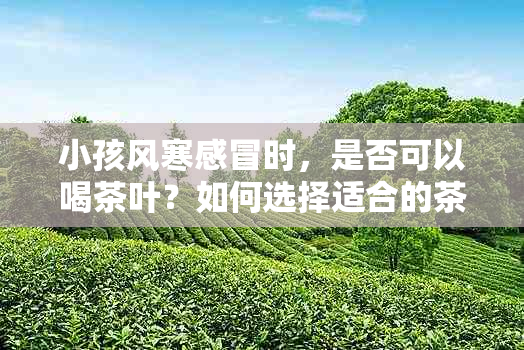 小孩风寒感冒时，是否可以喝茶叶？如何选择适合的茶叶种类及饮用方法？