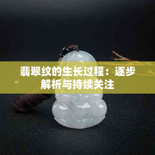 翡翠纹的生长过程：逐步解析与持续关注