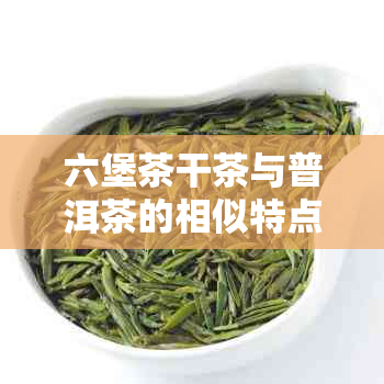 六堡茶干茶与普洱茶的相似特点及区别解析：一次全面的茶叶比较