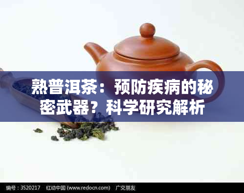 熟普洱茶：预防疾病的秘密武器？科学研究解析